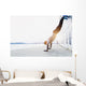 Young athlete is doing vertical push ups Wall Mural
