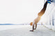 Young athlete is doing vertical push ups Wall Mural