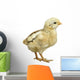 Little Chicken Watercolor Wall Decal