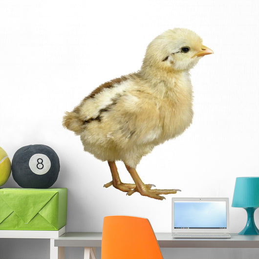 Little Chicken Watercolor Wall Decal