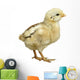 Little Chicken Watercolor Wall Decal