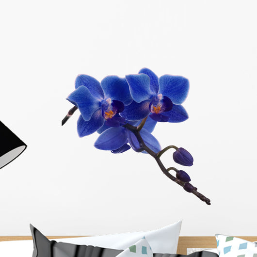 Dark Blue Orchids and Wall Decal