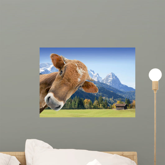 Kuh Vor Berglandschaft Und Wall Decal