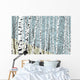 Birchwood Spring Wall Decal