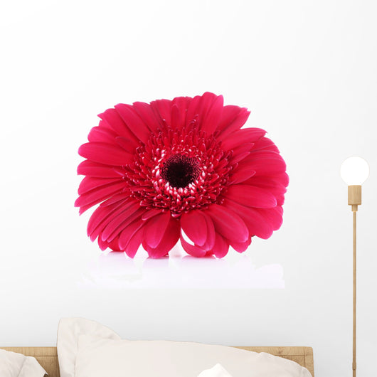 Beautiful Bright Gerbera White Wall Decal