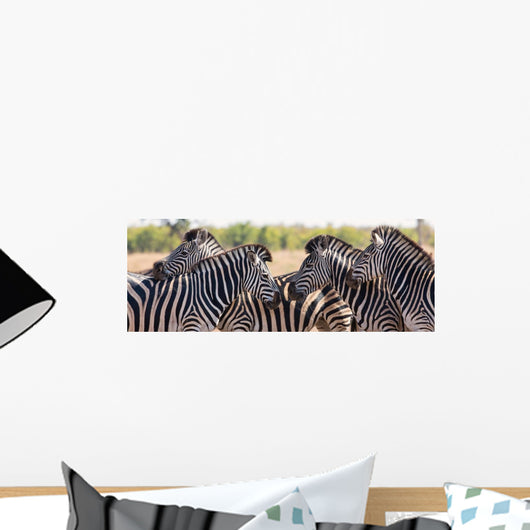 Zebra Herd Color Photo Wall Decal Panoramic Wall Decal