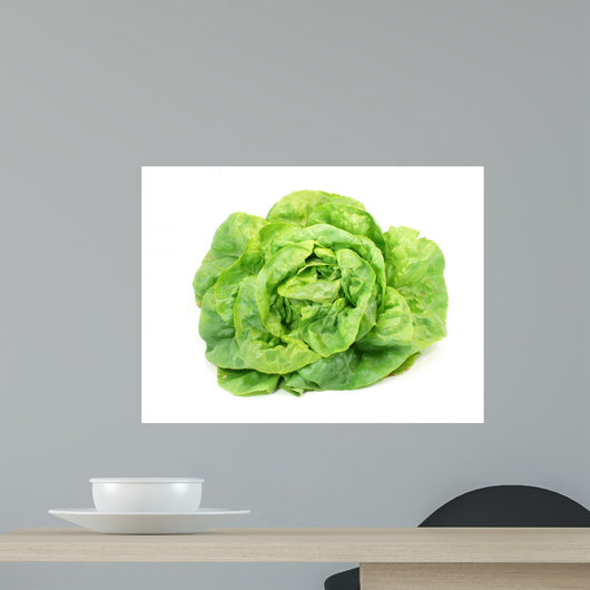 Lettuce Wall Decal