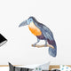 Watercolor Tropical Bird Wall Decal