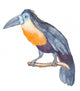 Watercolor Tropical Bird Wall Decal