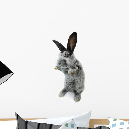 Gray Rabbit Wall Decal