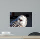 Up Snowy Owl Bubo Wall Decal