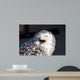 Up Snowy Owl Bubo Wall Decal