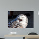 Up Snowy Owl Bubo Wall Decal