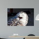 Up Snowy Owl Bubo Wall Decal