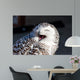 Up Snowy Owl Bubo Wall Decal