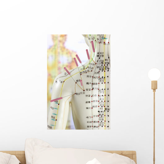 Acupuncture Model Wall Decal