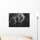 Sportsmen Fit Male Trainer Wall Decal