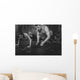 Sportsmen Fit Male Trainer Wall Decal