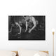 Sportsmen Fit Male Trainer Wall Decal
