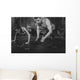 Sportsmen Fit Male Trainer Wall Decal