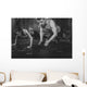 Sportsmen Fit Male Trainer Wall Decal