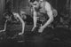 Sportsmen Fit Male Trainer Wall Decal
