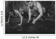 Sportsmen Fit Male Trainer Wall Decal