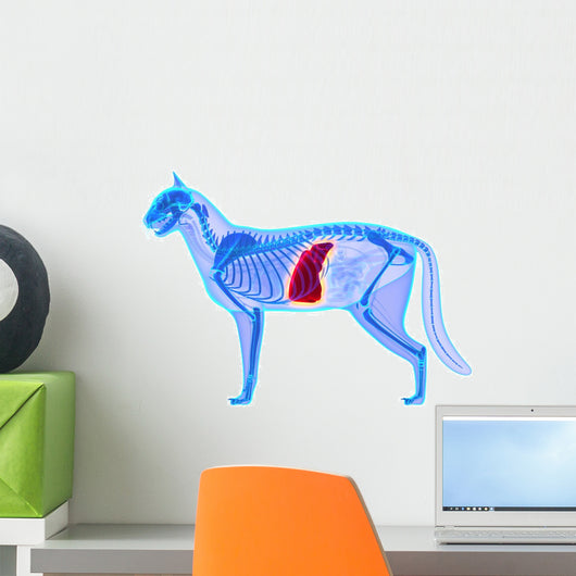 Cat Liver Felis Catus Wall Decal