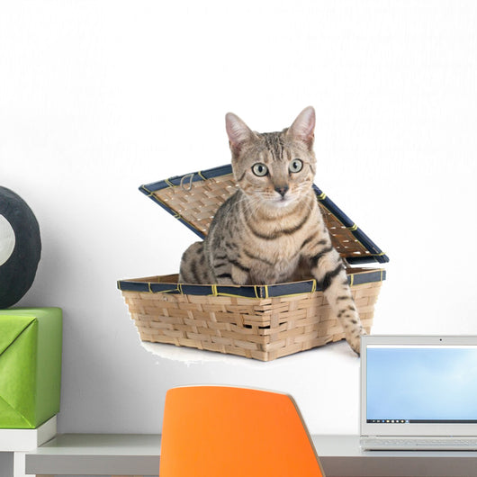 bengal cat Wall Decal