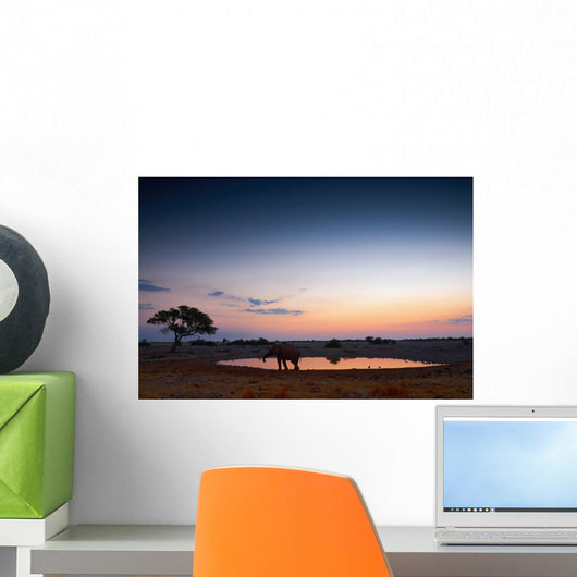 Waterhole Okaukuejo Sunset Wall Decal