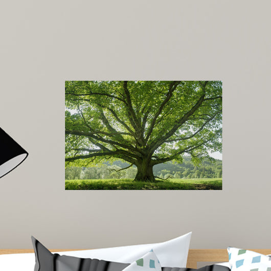 Oak 8 Wall Decal
