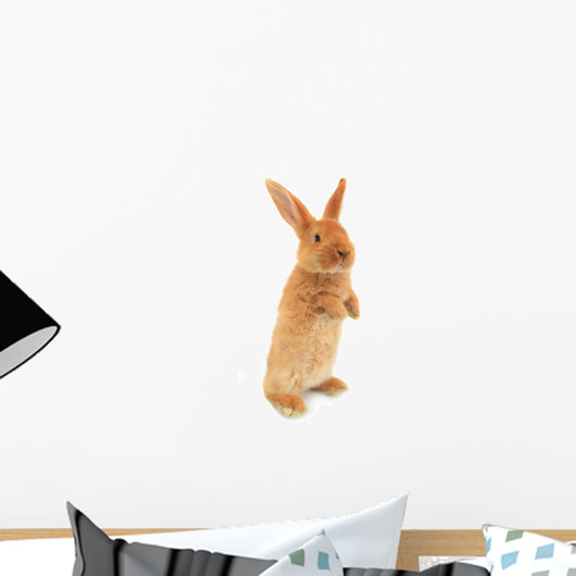 Standing Rabbit Wall Decal