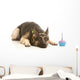 Birthday Girl Wall Decal