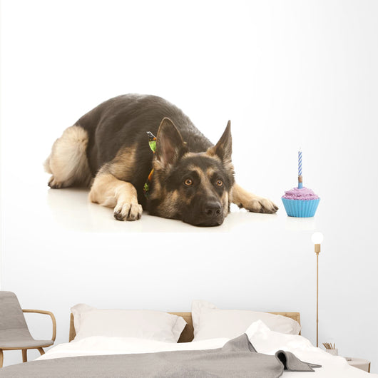 Birthday Girl Wall Decal