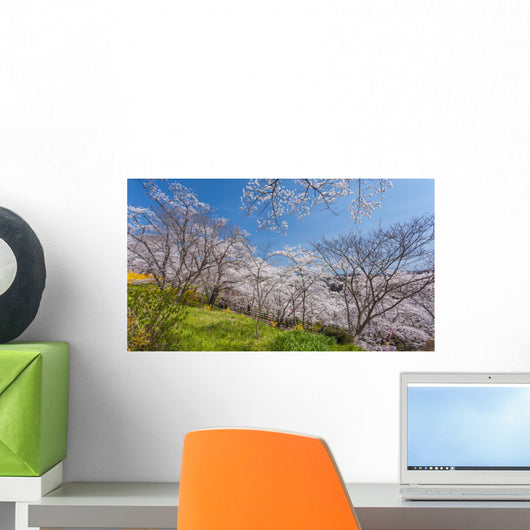Cherry Blossom Bloom Wall Decal