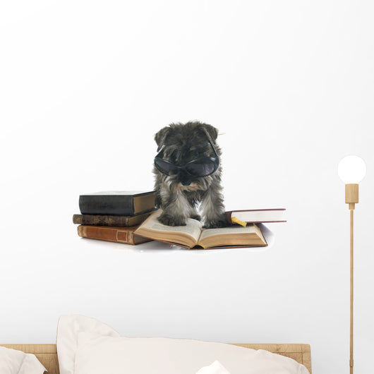 Reading Miniature Schnauzer Puppy Wall Decal