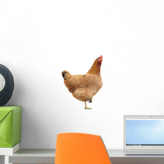 Hen Isolated Wall Decal