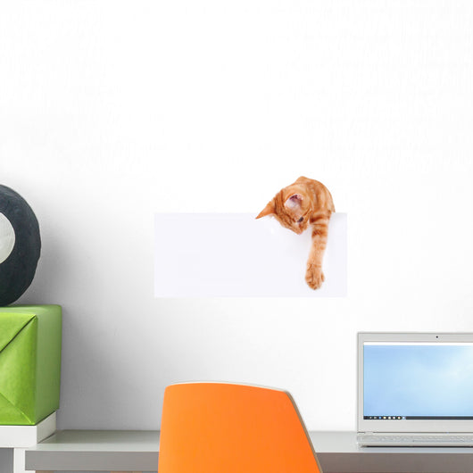 Cat Banner Sign Wall Decal