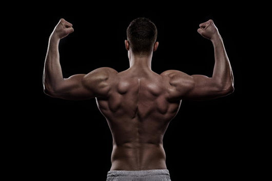 Young Athlete Bodybuilder from Wall Decal