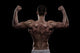 Young Athlete Bodybuilder from Wall Decal