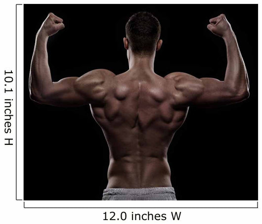 Young Athlete Bodybuilder from Wall Decal
