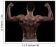 Young Athlete Bodybuilder from Wall Decal
