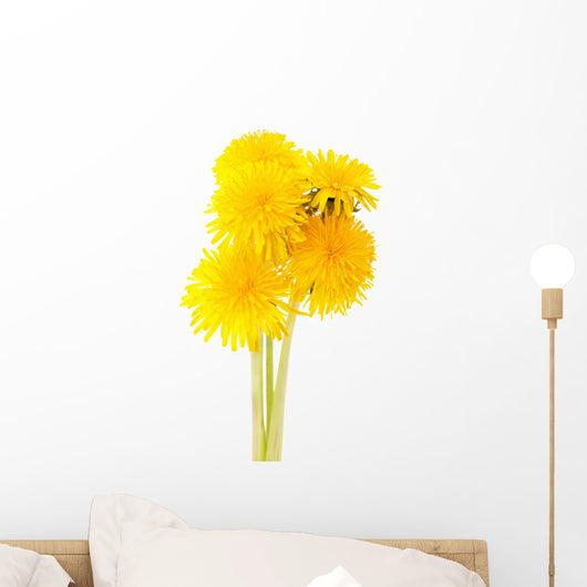 Dandelions White Wall Decal