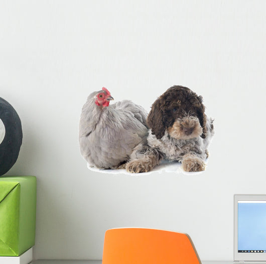 Lagotto Romagnolo and Chicken Wall Decal