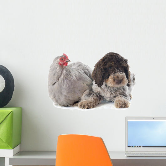 Lagotto Romagnolo and Chicken Wall Decal
