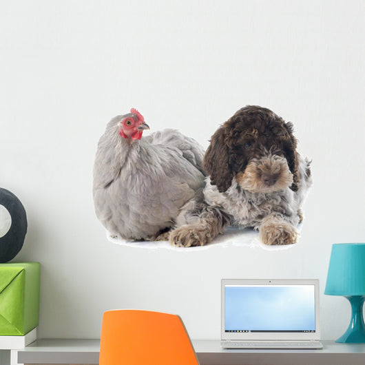 Lagotto Romagnolo and Chicken Wall Decal
