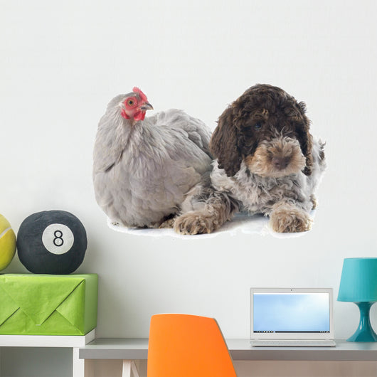 Lagotto Romagnolo and Chicken Wall Decal