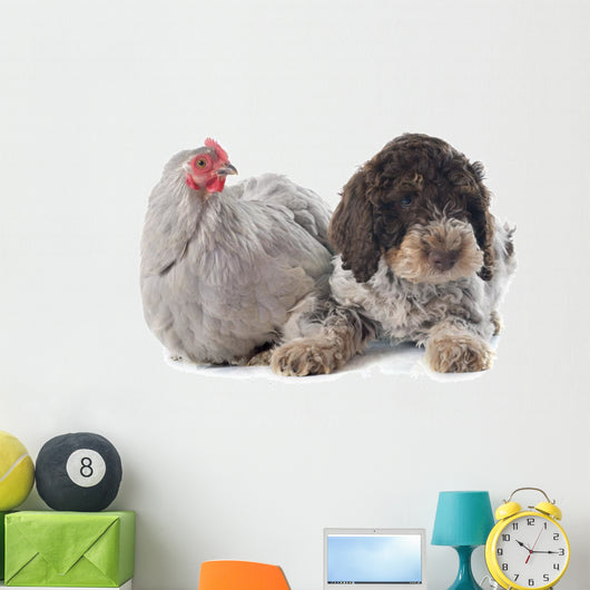 Lagotto Romagnolo and Chicken Wall Decal