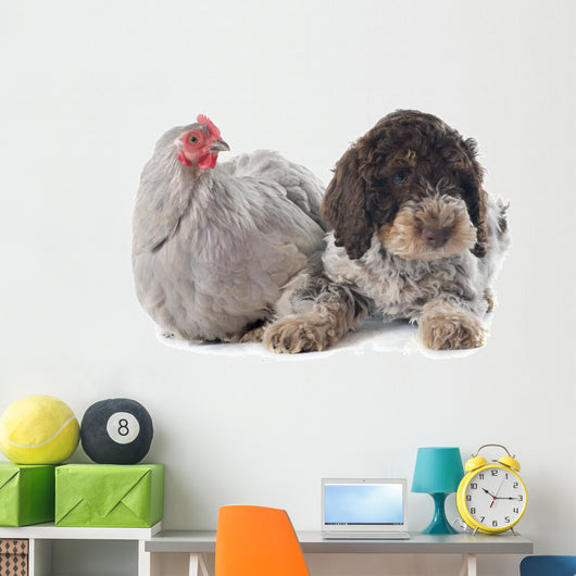 Lagotto Romagnolo and Chicken Wall Decal