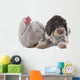 Lagotto Romagnolo and Chicken Wall Decal